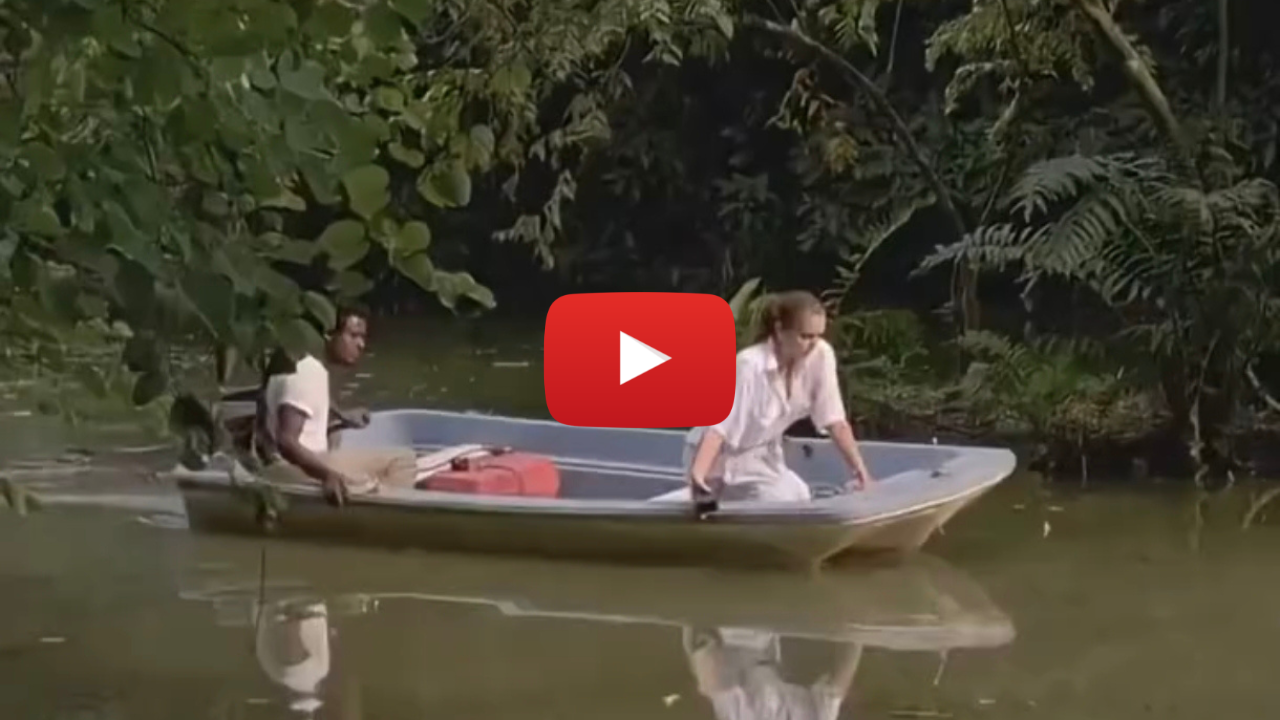 Jungla – Película