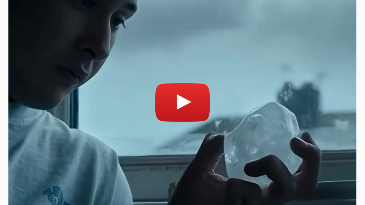 El fin – Película